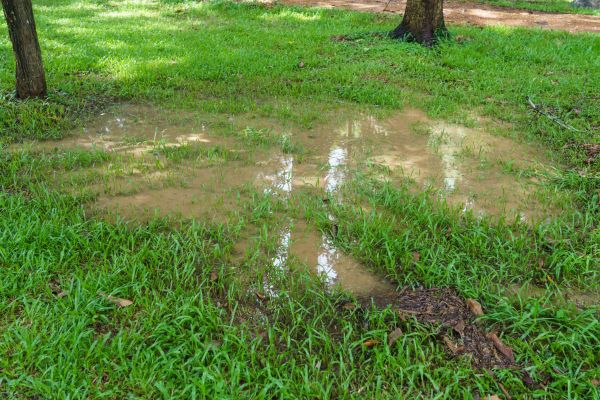 Cost of Storm Water Drainage Service in Hayden