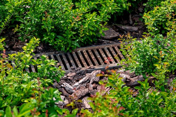 Cost of Underground Drainage Service in Hayden