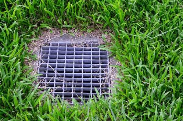 Cost of Yard Water Drainage in Hayden