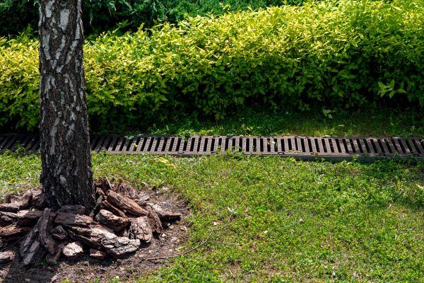Cost of Yard Water Redirection in Hayden