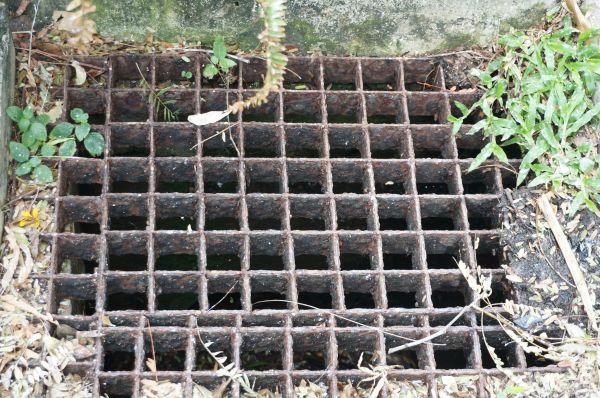 Cost of Yard Drain Cleaning in Hayden