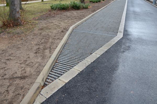 Cost of Muddy Yard Drainage in Hayden