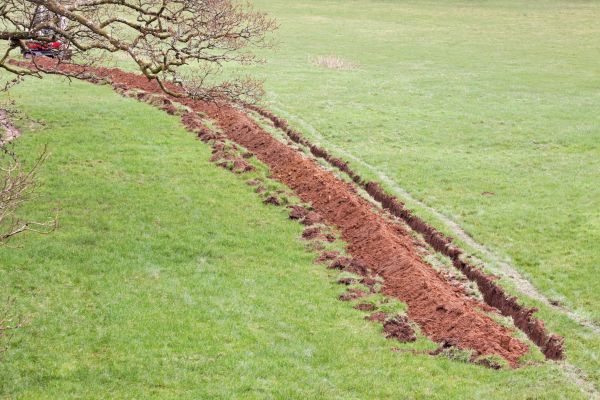 Cost of Swale Installation in Hayden