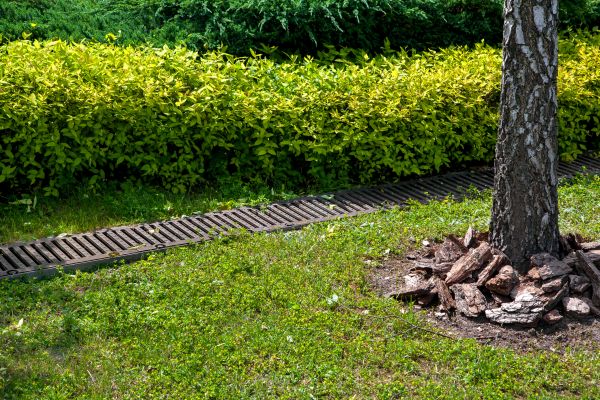 Cost of Residential Landscape Drainage in Hayden