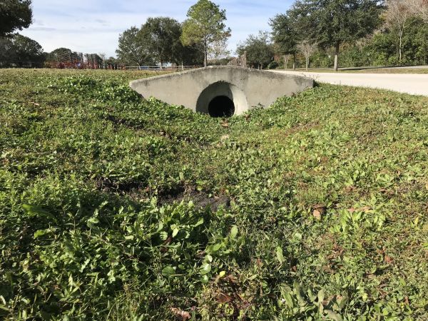 Cost of Swale Drainage Service in Hayden